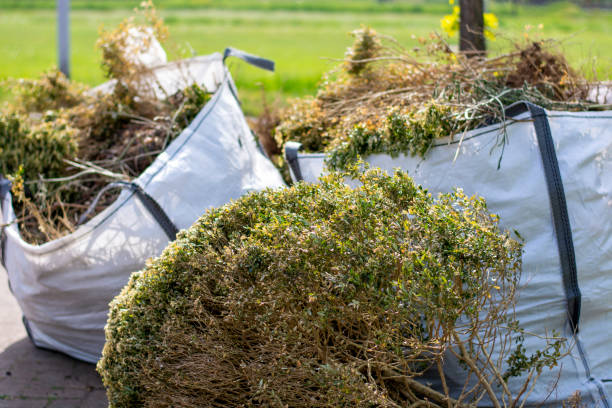 Best Carpet Removal and Disposal  in Ackerman, MS